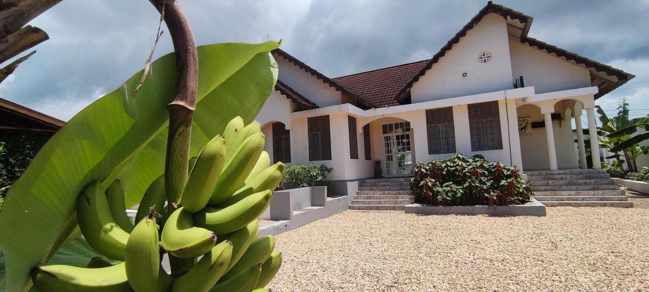 Hotel Garden Pearls Nungwi Exterior foto