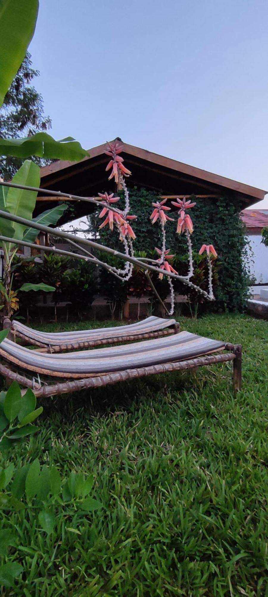 Hotel Garden Pearls Nungwi Exterior foto